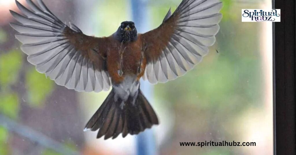 Bird Hitting Window Meaning