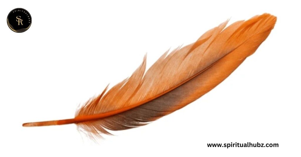 Brown Feather Meaning