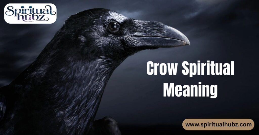 Crow Spiritual Meaning