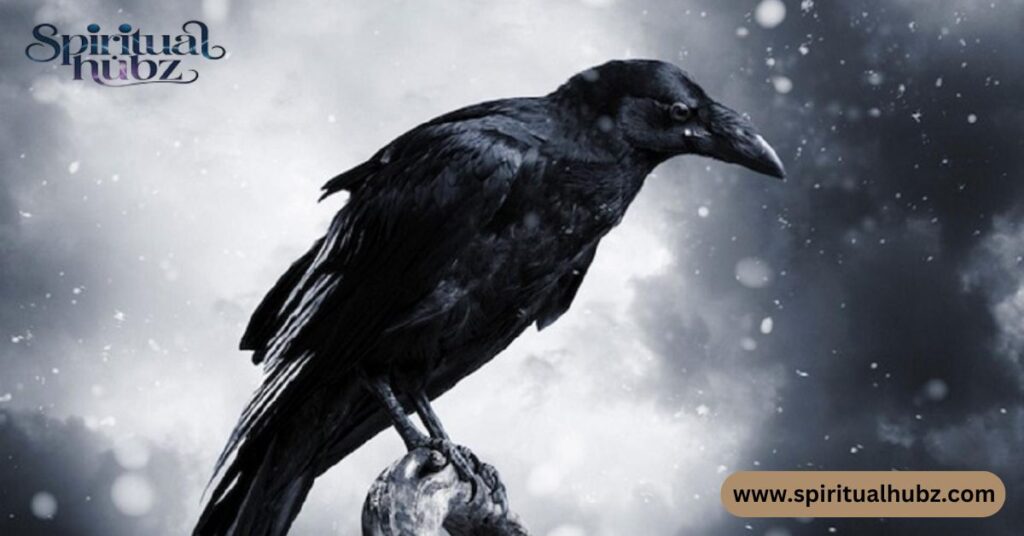 crow spiritual meaning