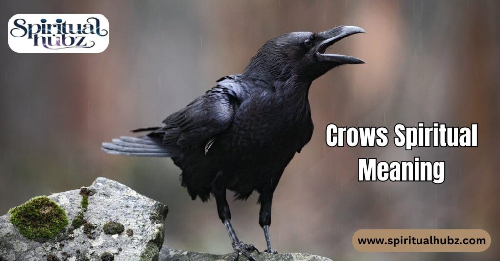 Crows Spiritual Meaning