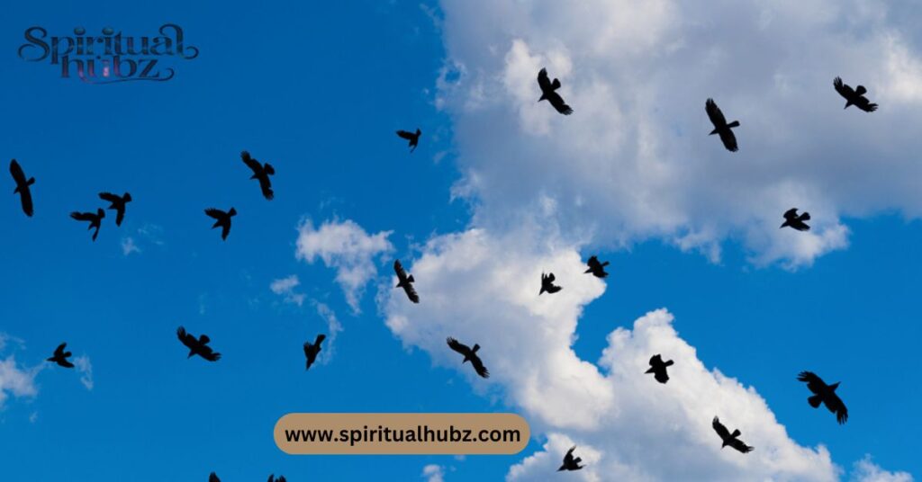 Spiritual Meaning of Flock of Black Birds