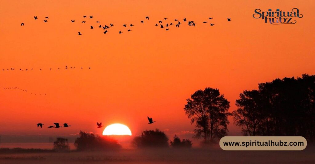 spiritual meaning of flock of black birds