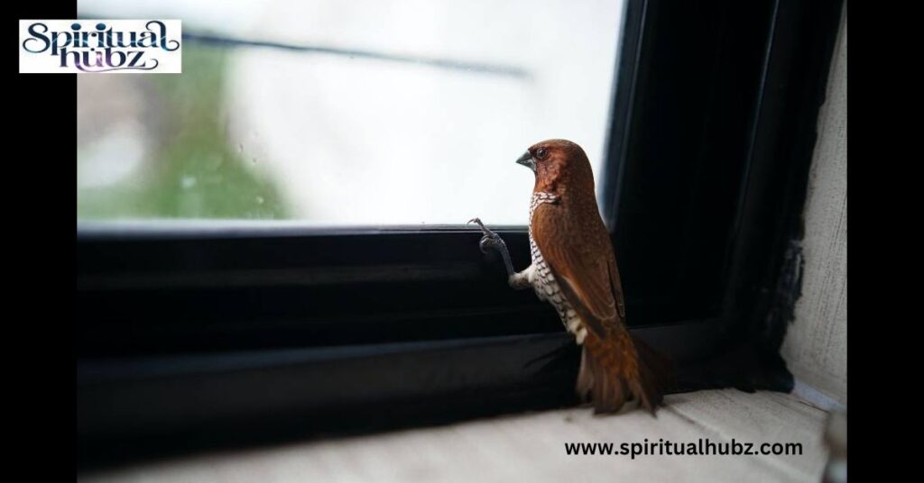 What Does It Mean When a Bird Hits Your Window and Flies Away?