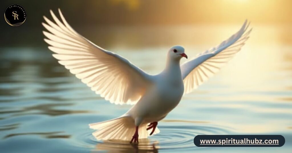 Dove flying over calm waters representing biblical messages of peace and God's care for creation
