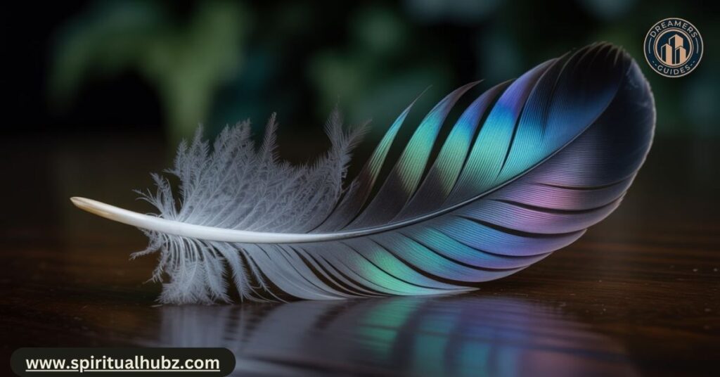 Detailed macro photo of a crow feather showing iridescent black hues and fine barbs