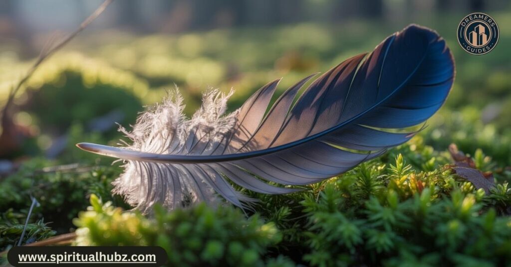 Crow Feather