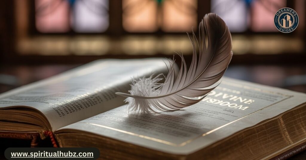 Grey feather placed on a Bible, representing Christian interpretations of divine wisdom and protection