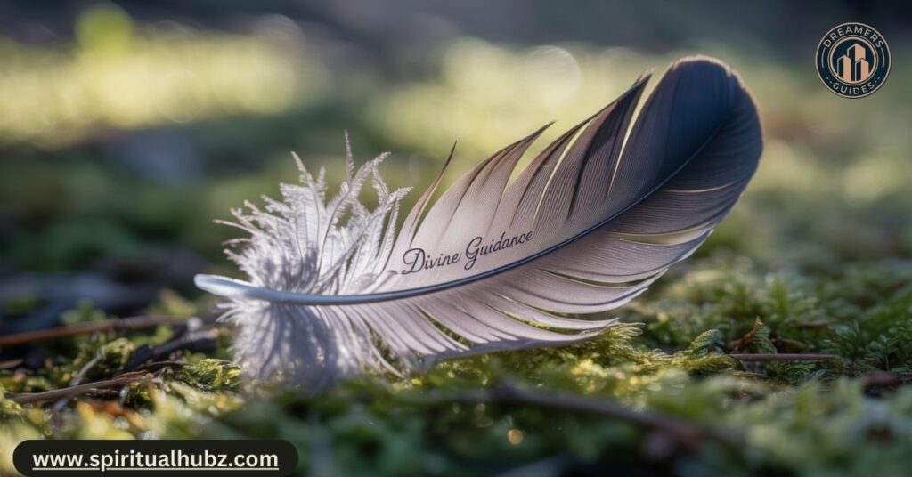 Close-up of a grey feather lying on the ground, symbolizing spiritual messages and inner balance
