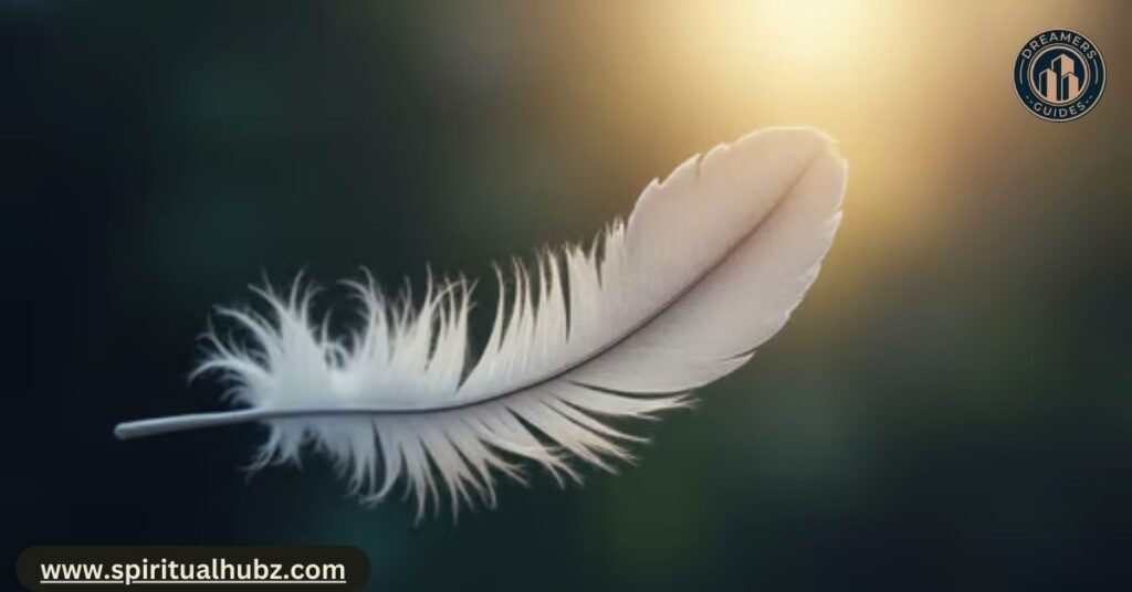 gray feather meaning
