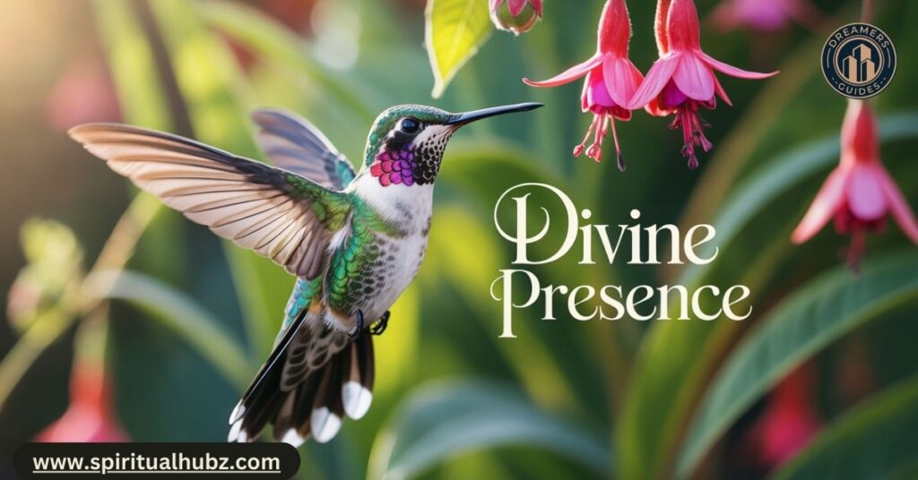 Are Hummingbirds Signs from Heaven?