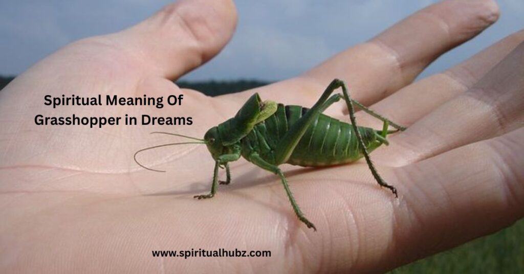 spiritual-meaning-of-grasshopper-in-dreams