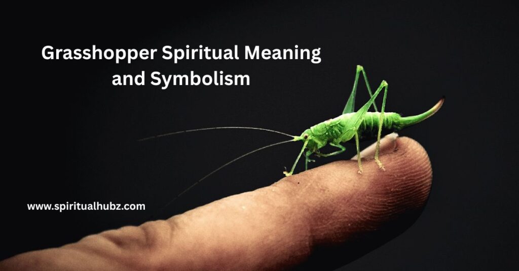 grasshopper-spiritual-meaning-and-symbolism
